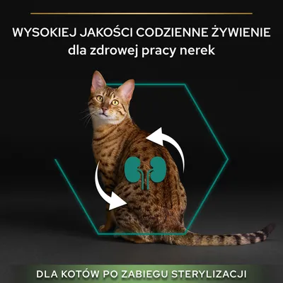 Wysokiej jakości codzienne żywienie dla zdrowej pracy nerek. Dla kotów po zabiegu sterylizacji.