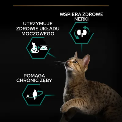 Utrzymuje zdrowie układu moczowego, wspiera zdrowe nerki, pomaga chronić zęby – tekst i ikony obok kota na czarnym tle.