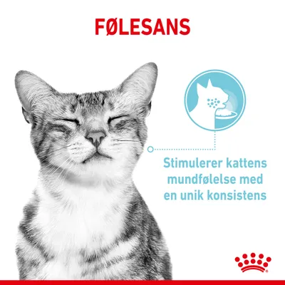 FØLESANS. Stimulerer kattens mundfølelse med en unik konsistens.