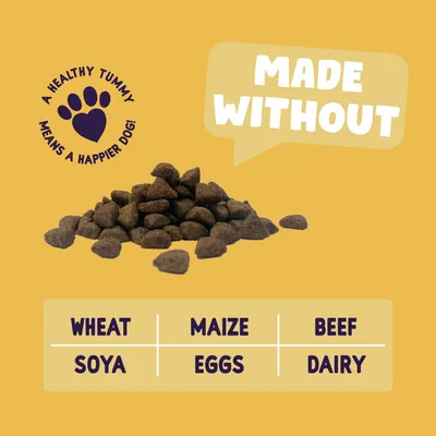 Dry pet food shown with text: made without wheat, maize, beef, soya, eggs, dairy. Includes message: a healthy tummy means a happier dog.