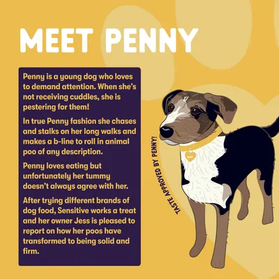 Text describes Penny, a young dog with a sensitive tummy whose digestion improved after eating Sensitive dog food, and includes owner feedback on firmer stools. Illustration of Penny shown.