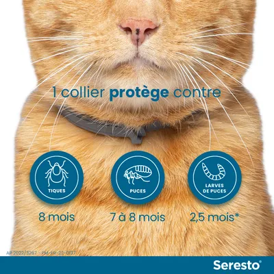 Seresto 1 collier protège contre tiques 8 mois, puces 7 à 8 mois, larves de puces 2,5 mois. Texte en image, chat roux portant le collier.