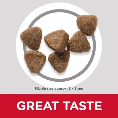 Triangular kibble pieces shown with text stating kibble size approximately 8 by 8 millimetres and the phrase 'Great Taste' highlighted below.