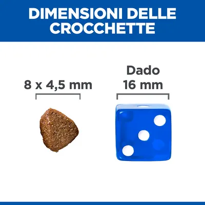 Dimensioni delle crocchette: 8 x 4,5 mm. Dado di confronto: 16 mm.