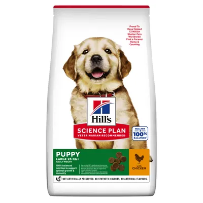 Sac de croquettes Hill's Science Plan Puppy Large 25 kg+ au poulet, nutrition équilibrée, sans conservateurs ni arômes artificiels, recommandé par les vétérinaires.