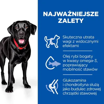 Najważniejsze zalety: skuteczna utrata wagi z widocznymi efektami, olej rybi bogaty w kwasy omega-3 poprawiający mobilność stawów, glukozamina i chondroityna budują chrząstkę stawową.