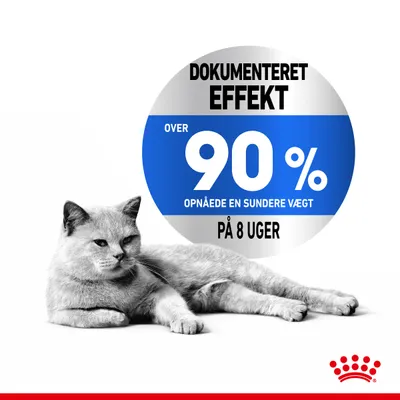 Dokumenteret effekt: over 90 % opnåede en sundere vægt på 8 uger. Teksten vises i en blå cirkel ved siden af en liggende kat. Nederst ses Royal Canin-navnetegn.