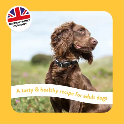 British family company. A tasty and healthy recipe for adult dogs.