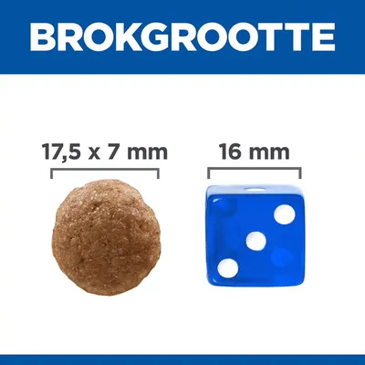 Brokformaat: brok van 17,5 x 7 mm naast blauwe dobbelsteen van 16 mm ter vergelijking. Tekst 'BROKGROOTTE' bovenaan zichtbaar.