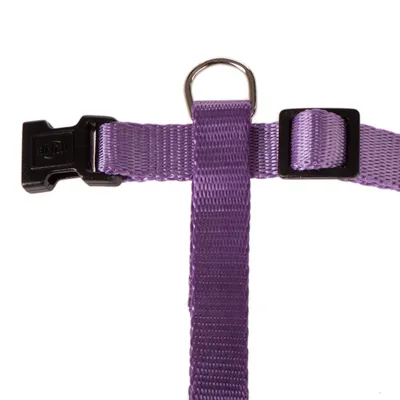 Collier en nylon violet avec boucle plastique noire, anneau métallique et réglage de taille visible.