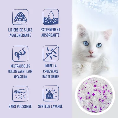 Litière de silice agglomérante, extrêmement absorbante, neutralise les odeurs avant leur apparition, inhibe la croissance bactérienne, sans poussière, senteur lavande.