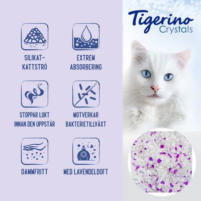 Tigerino Crystals silikatkattströ: extrem absorbering, stoppar lukt innan den uppstår, motverkar bakterietillväxt, dammfritt, med lavendeldoft. Bild på strö med lila partiklar.