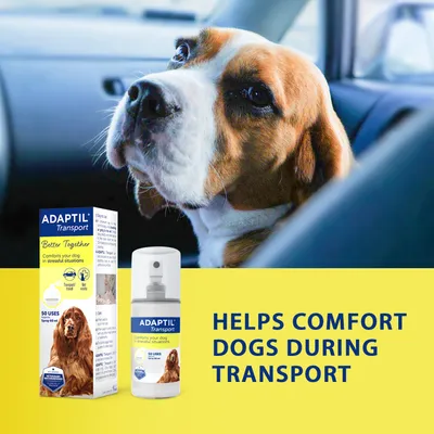 Adaptil Transport spray and packaging shown with a dog in a car. Text states: Helps comfort dogs during transport. Product claims to comfort dogs in stressful situations.