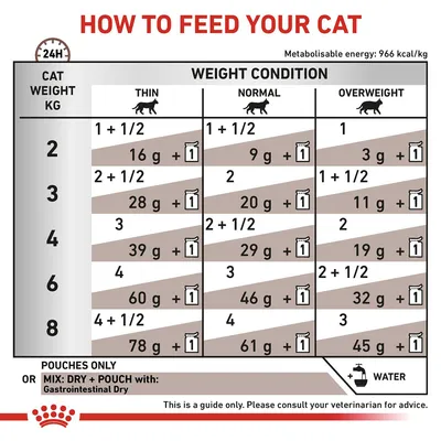 Feeding guide chart showing daily pouch and gram amounts for cats by weight and condition: thin, normal, overweight. Includes mixing dry and wet food, and water advice. Consult vet for guidance.