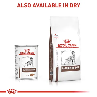 Royal Canin Gastrointestinal veterinary food shown in wet and dry forms. Text states: Also available in dry.