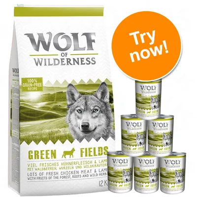 Wolf of Wilderness Trial Pack: Dry & Wet Food