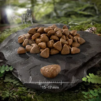 Trojúhelníkové granule na kamenné desce, velikost 15–17 mm. V pozadí lesní scéna a viditelný vlk.