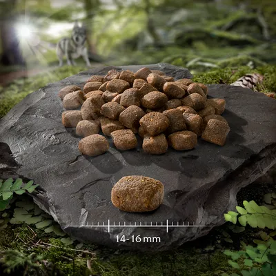 Kuivaruokapalat kivilevyllä, koko 14–16 mm. Taustalla näkyy metsämaisema ja susi.