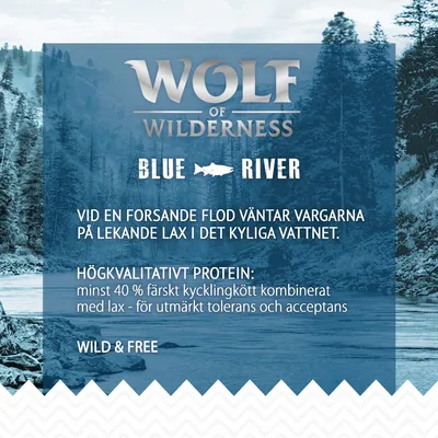 Wolf of Wilderness Blue River. Högkvalitativt protein: minst 40 % färskt kycklingkött kombinerat med lax – för utmärkt tolerans och acceptans. Wild & Free.