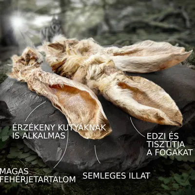 Szárított állati fül darabok kőlapra helyezve, feliratokkal: érzékeny kutyáknak is alkalmas, edzi és tisztítja a fogakat, magas fehérjetartalom, semleges illat.