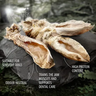 Wolf of Wilderness Dried Rabbit Ears with Fur