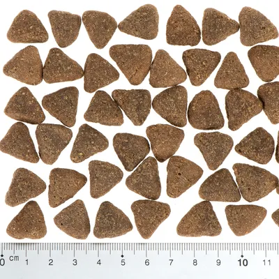 Triangular brown kibble pieces arranged above a ruler showing size in centimetres, demonstrating the shape and approximate dimensions of the product.