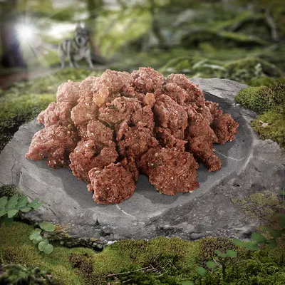 Cibo per cani a pezzi di carne su una pietra, circondato da paesaggio boschivo. Lupo visibile sullo sfondo.