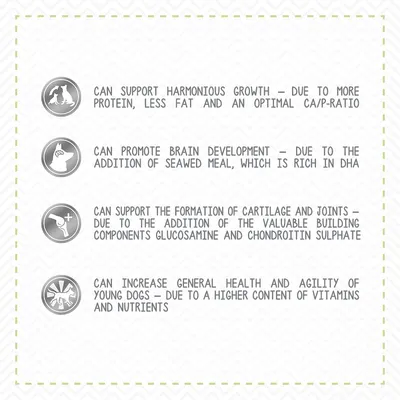 Can support harmonious growth, promote brain development, support cartilage and joints, increase health and agility in young dogs due to protein, seaweed meal, glucosamine, vitamins. Text in English.