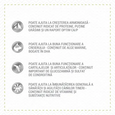Poate ajuta la creșterea armonioasă, funcționarea creierului, cartilajelor și articulațiilor, îmbunătățirea sănătății câinilor tineri. Conținut ridicat de proteine, DHA, vitamine, glucozamină.