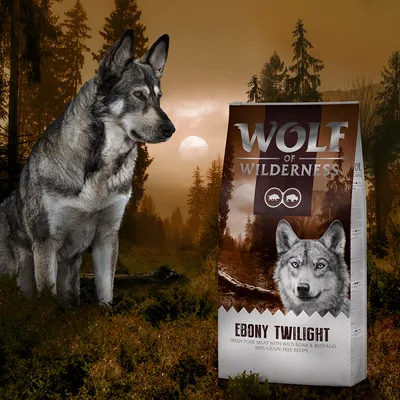 Wolf of Wilderness Ebony Twilight hundefoderpose med teksten 'Fresh pork meat with wild boar & buffalo, 100% grain-free recipe' foran skovbaggrund og ulvelignende hund ved siden af.