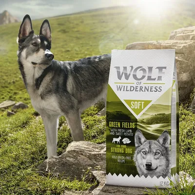 Sacco da 12 kg di Wolf of Wilderness Soft Green Fields con agnello fresco e patata dolce, ricetta senza cereali, accanto a un cane in ambiente naturale. Testo visibile solo in inglese.