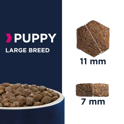 Puppy large breed dry food shown with kibble dimensions: 11 mm width and 7 mm height.