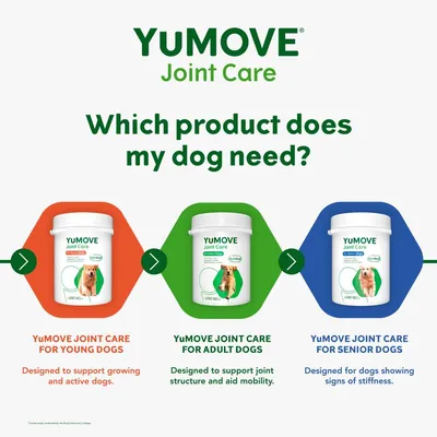 YuMOVE Joint Care range: for young dogs to support growth and activity, for adult dogs to aid joint structure and mobility, for senior dogs showing signs of stiffness.
