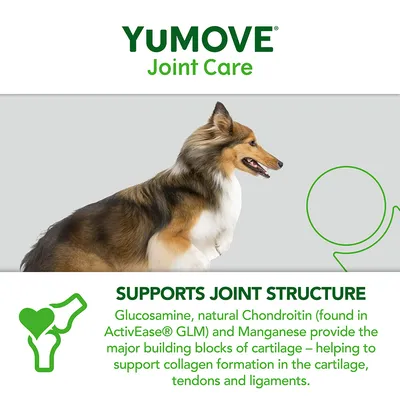 YuMOVE Joint Care. Glucosamine, natürliches Chondroitin und Mangan unterstützen die Bildung von Knorpel und Kollagen in Gelenken, Sehnen und Bändern.
