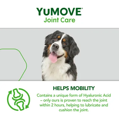 YuMOVE Joint Care. Enthält eine einzigartige Form von Hyaluronsäure, die nachweislich innerhalb von 2 Stunden das Gelenk erreicht, um es zu schmieren und abzufedern.