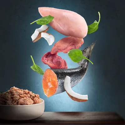 Bowl of wet pet food with floating raw chicken breast, fish, organ meats, coconut pieces and spinach leaves above it. All ingredients clearly visible.