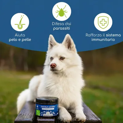 Wolfsbacher Natur Snack Z-Schild