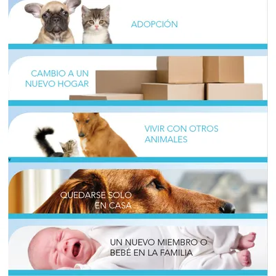 Cinco secciones con imágenes y texto: adopción, cambio a un nuevo hogar, vivir con otros animales, quedarse solo en casa, un nuevo miembro o bebé en la familia.
