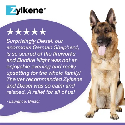 Zylkene Calming Supplement for Large Dogs 15 - 60 kg - 20 Capsules