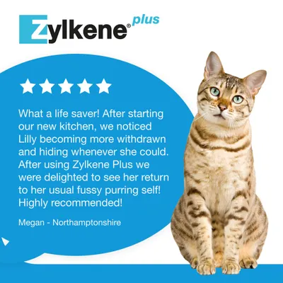 Zylkene Plus Calming Supplement 75mg for Small Dogs or Cats <10kg - 30 Capsules Zylkene Plus Calming Supplement 75mg for Small Dogs or Cats <10kg - 30 Capsules