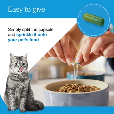 Zylkene Plus Calming Supplement 75mg for Small Dogs or Cats <10kg - 30 Capsules Zylkene Plus Calming Supplement 75mg for Small Dogs or Cats <10kg - 30 Capsules