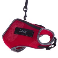 Harnais et laisse XCat Trixie avec sticker pour chat