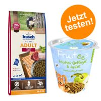 hundekissen klein Das Outdoor-Hundebett  robust und komfortabel fr deinen Vierbeiner!