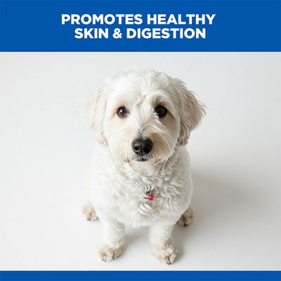 Hill's Science Plan Hypoallergenic Adult Medium with Salmon