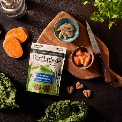 Forthglade salmon with herring natural soft bites pack shown with heart-shaped treats, fresh salmon pieces, herring, sweet potato slices and kale to highlight ingredients.