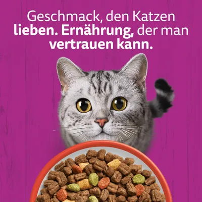 Whiskas Adult 1+ Katze Trockenfutter mit Rind - 14 kg