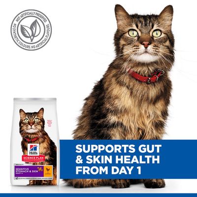 Hill's Science Plan Sensitive Stomach & Skin Adult 1+ с курицей. Поддерживает пищеварение и способствует красивой шерсти. Без искусственных консервантов, красителей и ароматизаторов.