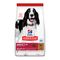 Hill's Science Plan Adult Medium met Lam met Rijst 18 kg