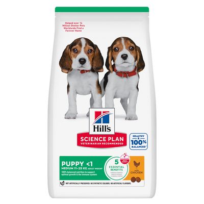 Confezione Hill's Science Plan Puppy <1 Medium 11–25 kg, con pollo. Supporta immunità e crescita sana nei cuccioli. Senza conservanti, coloranti o aromi artificiali.