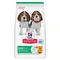 Hill's Science Plan Puppy <1 Medium mit Huhn 18 kg